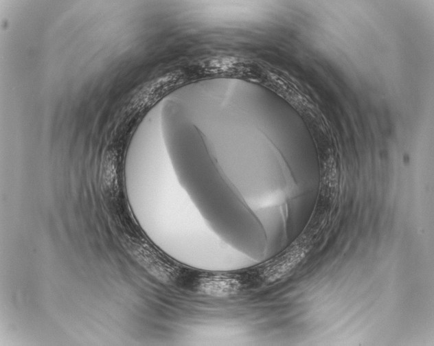 X0000086920754200705071328