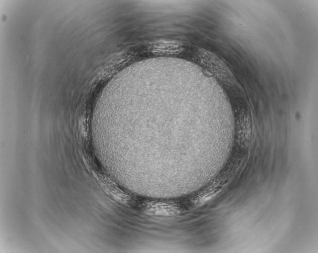 X0000086920755200705071328