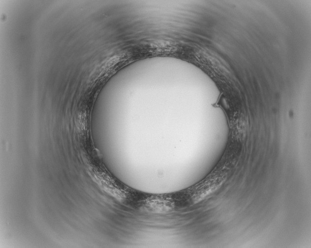 X0000086920756200705071328