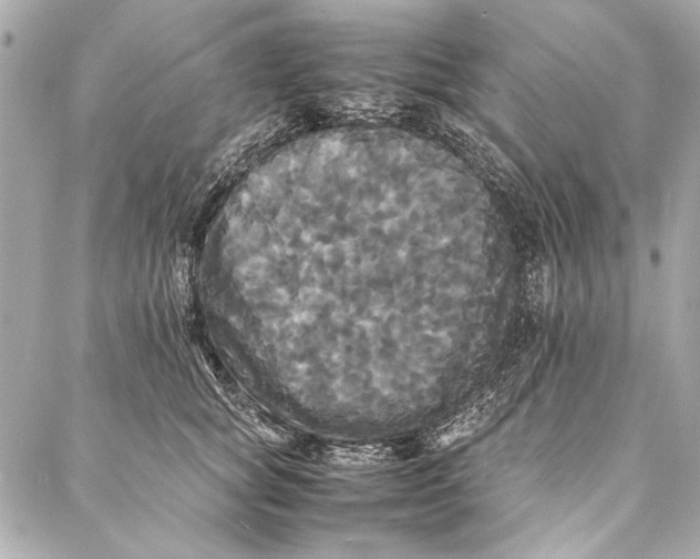 X0000086920757200705071328