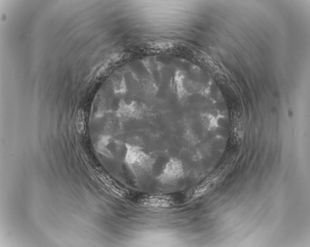 X0000086920758200705071328