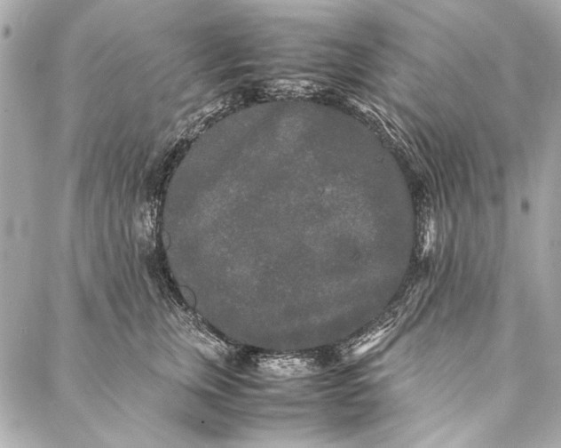 X0000086920759200705071328