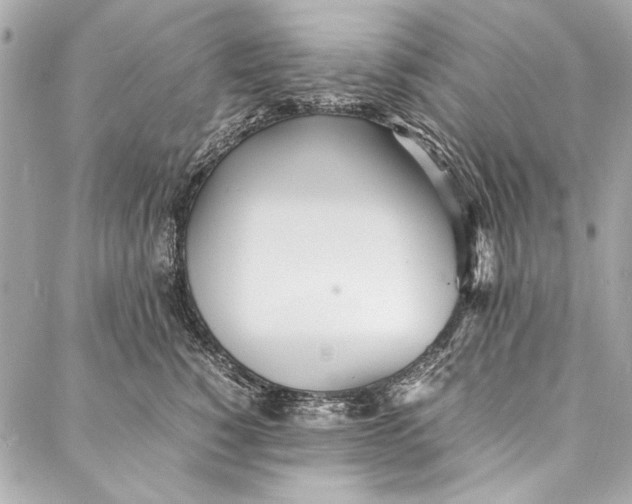 X0000086920760200705071328