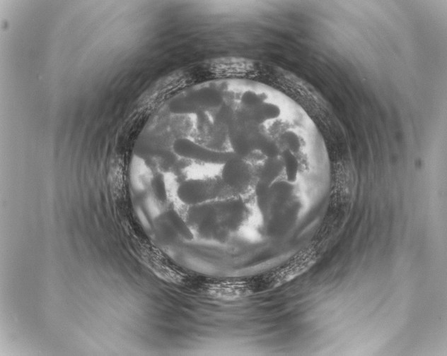 X0000086920761200705071328