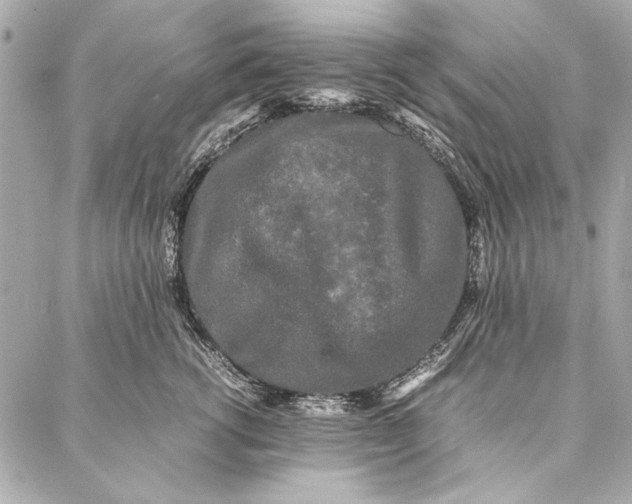 X0000086920762200705071328