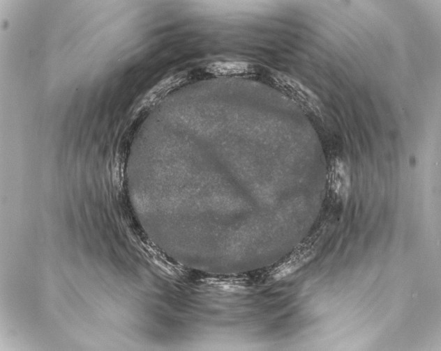 X0000086920763200705071328