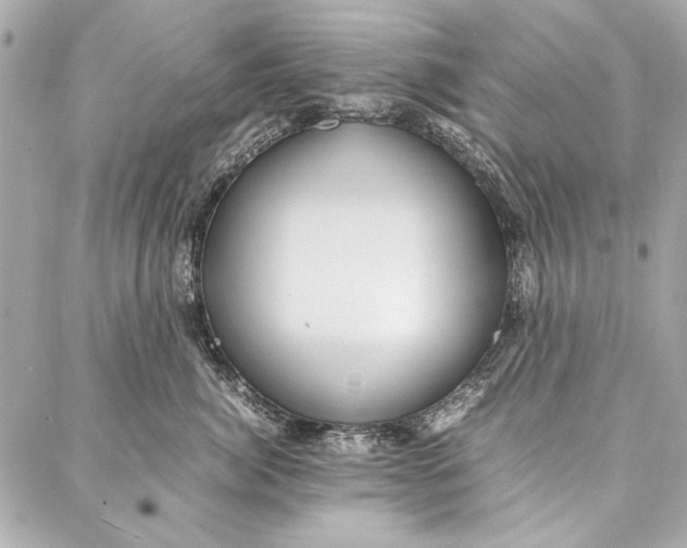 X0000086920764200705071328