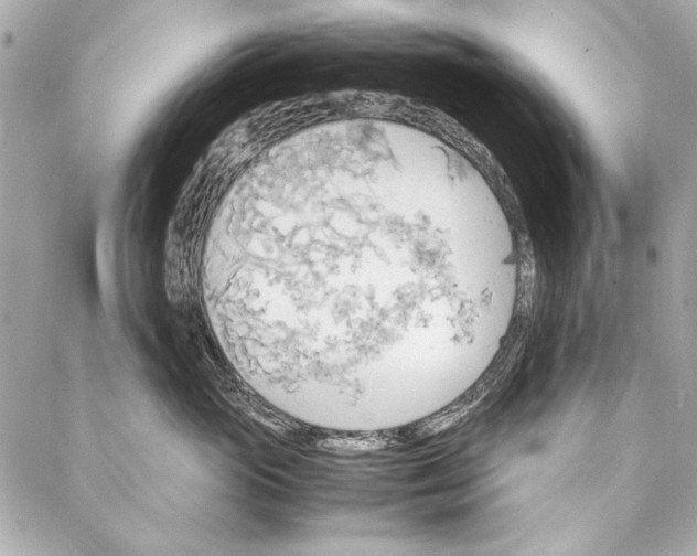 X0000086920765200705071328