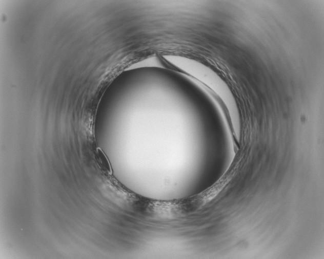 X0000086920766200705071328