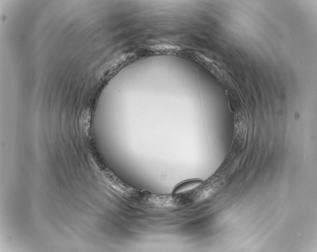 X0000086920767200705071328