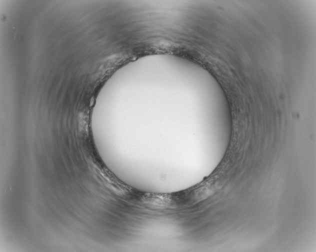 X0000086920768200705071328