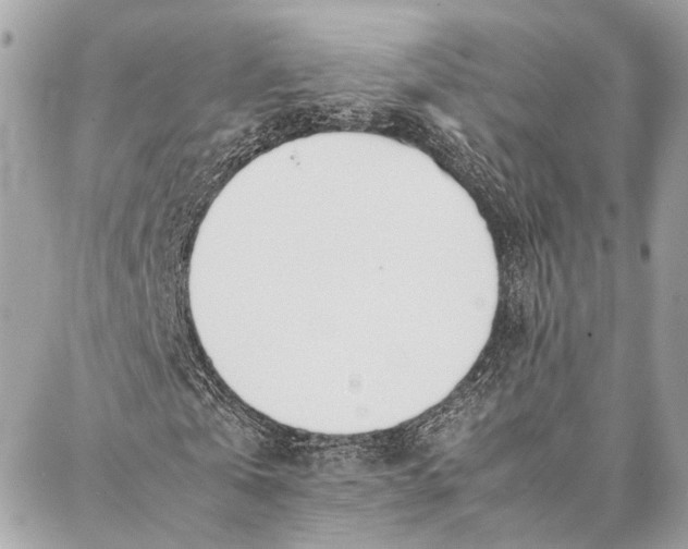 X0000086920769200705071327