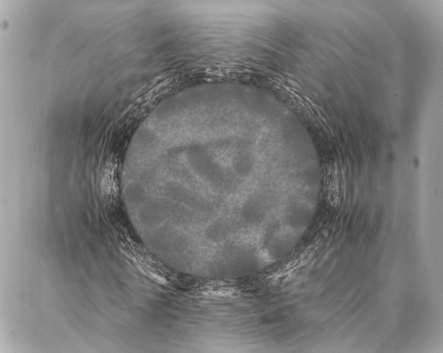 X0000086920770200705071327