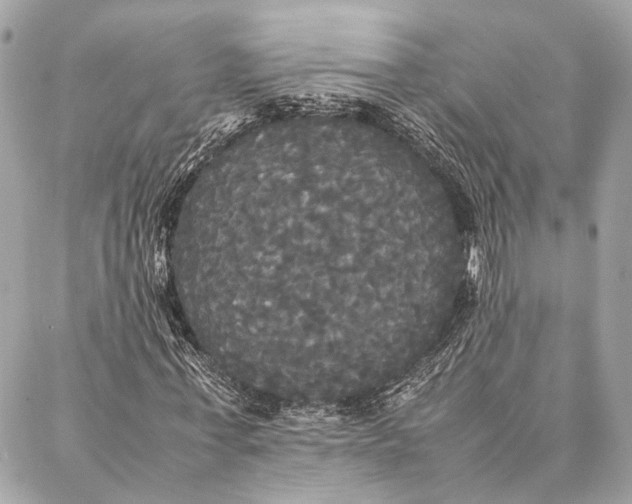 X0000086920771200705071327