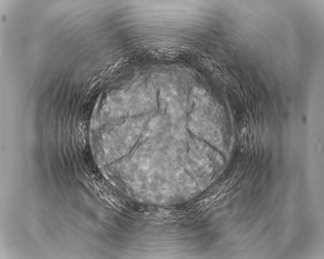 X0000086920772200705071327