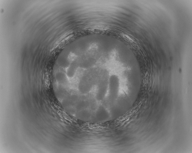 X0000086920774200705071327