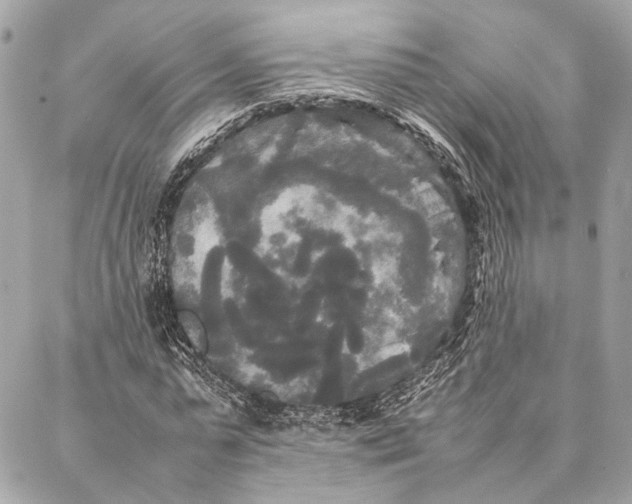 X0000086920775200705071327