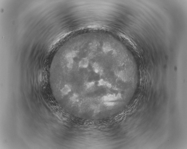 X0000086920776200705071327