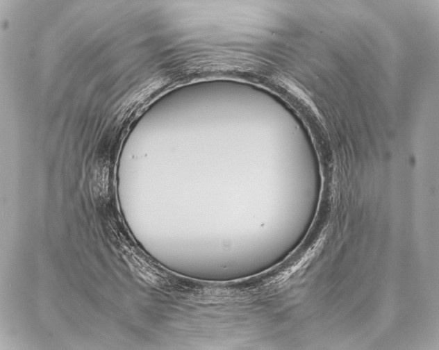 X0000086920777200705071327