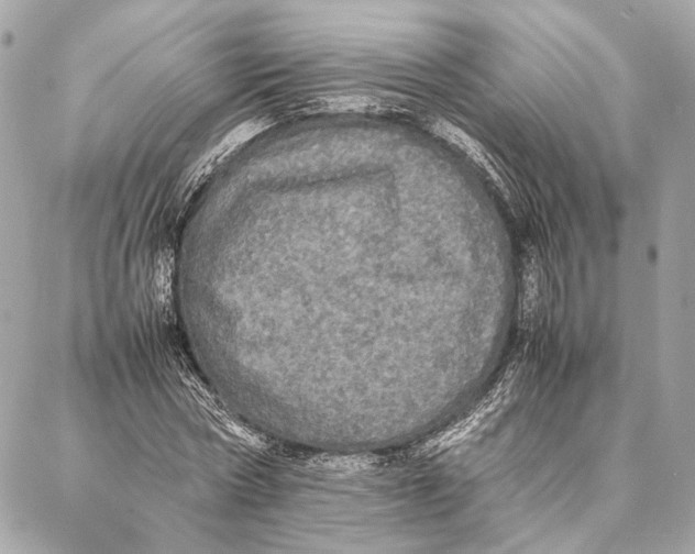 X0000086920778200705071327