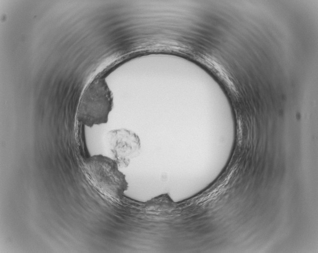 X0000086920780200705071327