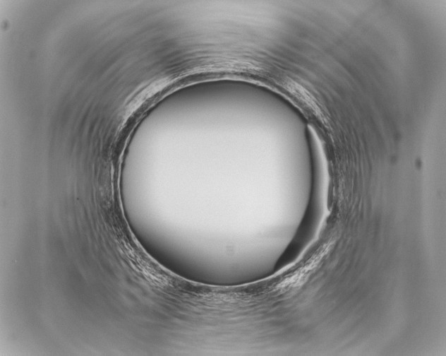 X0000086920781200705071327