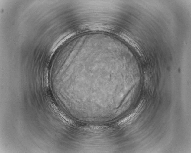 X0000086920782200705071327