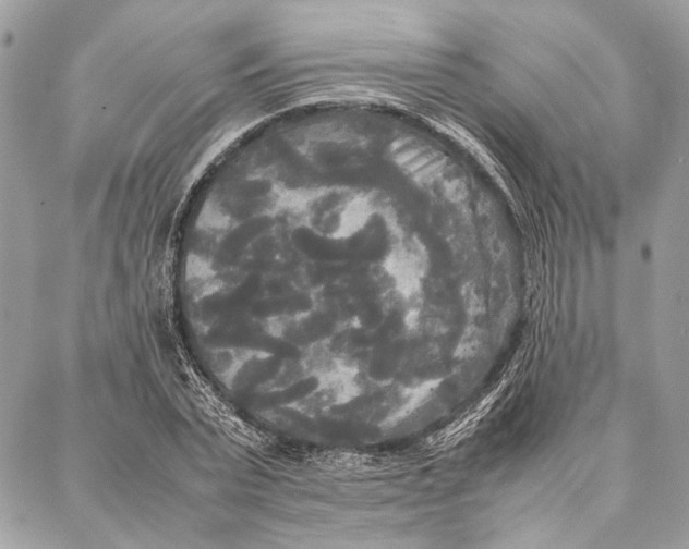 X0000086920783200705071327