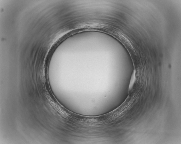 X0000086920784200705071327