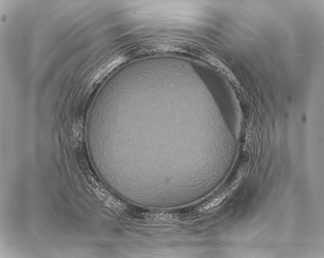 X0000086920785200705071327