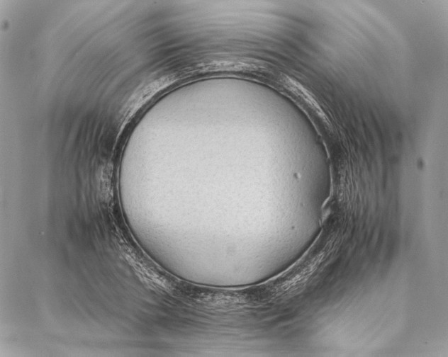 X0000086920786200705071327