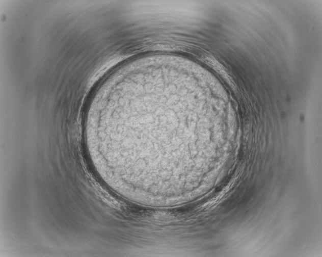 X0000086920787200705071327