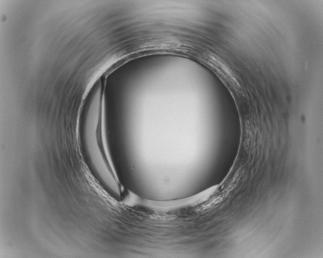 X0000086920788200705071327