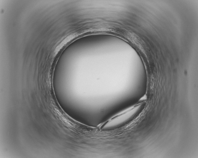 X0000086920789200705071327