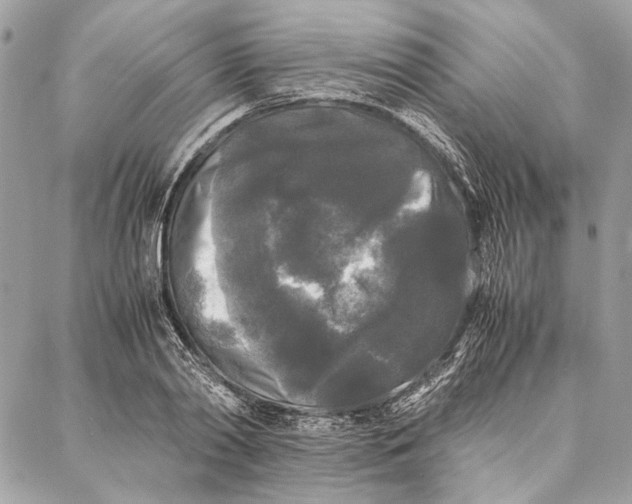 X0000086920790200705071327