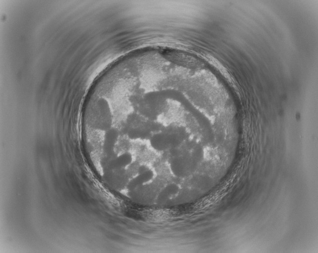 X0000086920791200705071327