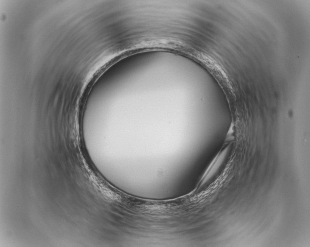 X0000086920792200705071327