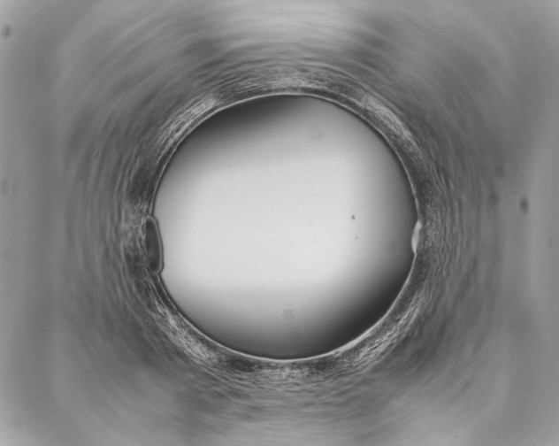 X0000086920793200705071327