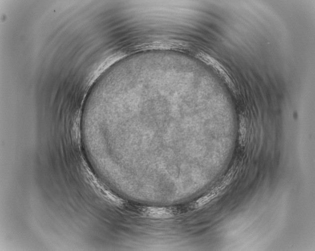 X0000086920794200705071327