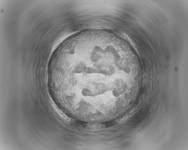 X0000086920795200705071327