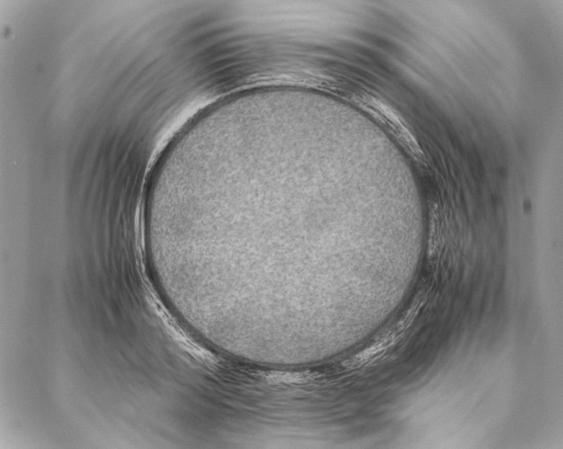 X0000086920796200705071327