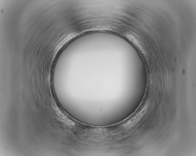 X0000086920797200705071327