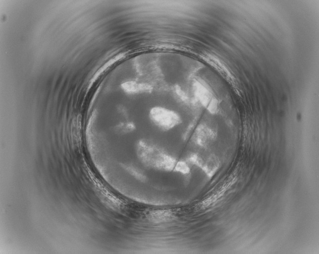 X0000086920798200705071327