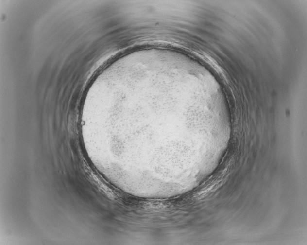 X0000086920799200705071327