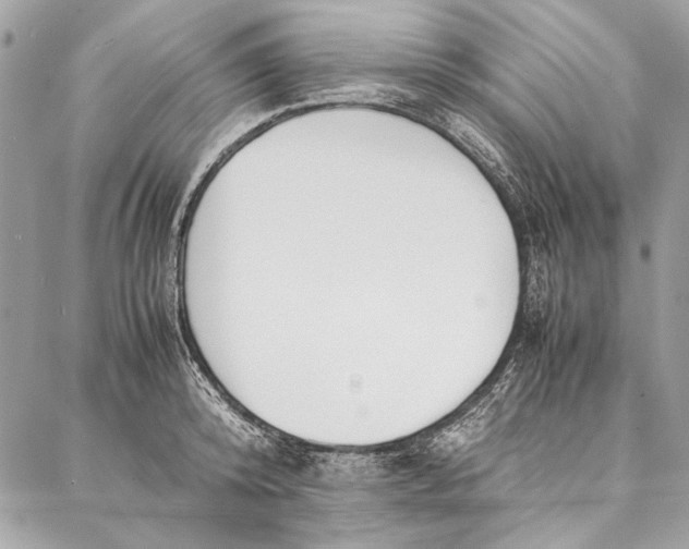 X0000086920800200705071327