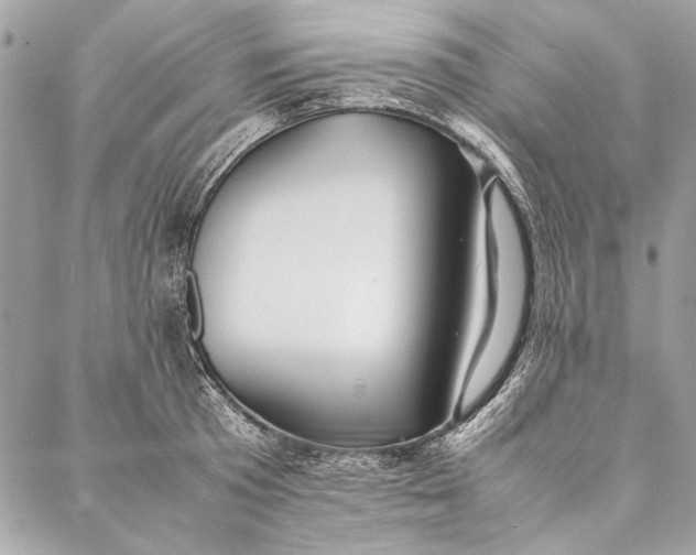 X0000086920801200705071326