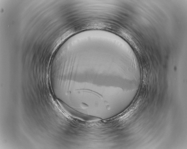 X0000086920802200705071326