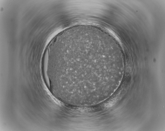 X0000086920803200705071326