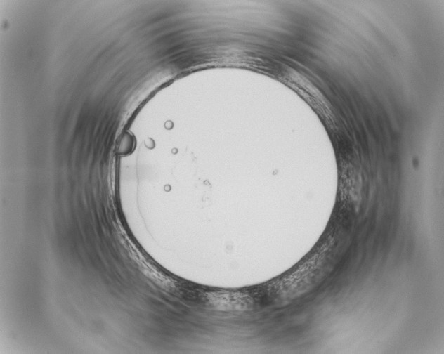 X0000086920804200705071326