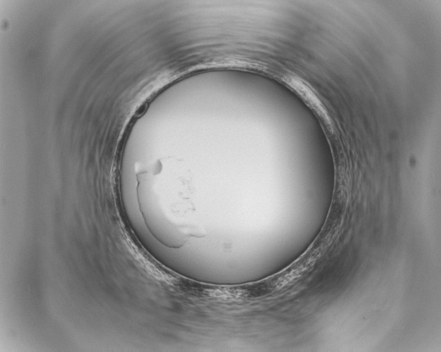 X0000086920805200705071326